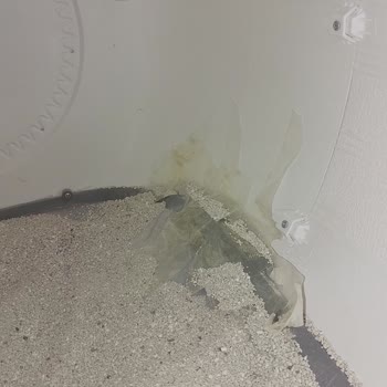 Dayanıksız Kedi Tuvaleti: Wero'nun Tasarım Hatası