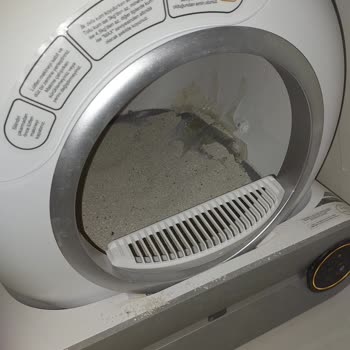 Dayanıksız Kedi Tuvaleti: Wero'nun Tasarım Hatası