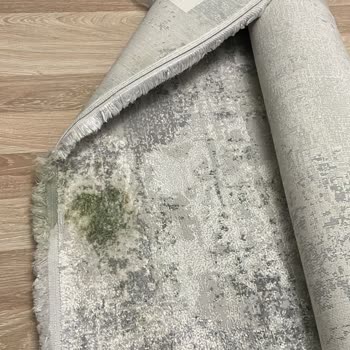 Serdivan Halı Yıkama Kahve Lekesi Çıkmayan Halı Ve İlgisiz Hizmet!