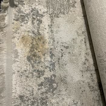 Serdivan Halı Yıkama Kahve Lekesi Çıkmayan Halı Ve İlgisiz Hizmet!