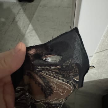 Bohemian Şalımın Beklenmedik Yırtığı