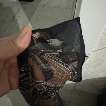 Bohemian Şalımın Beklenmedik Yırtığı