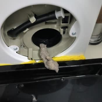 Paspas Makinede Tüy Döktü, Çamaşır Makinesi Zarar Gördü