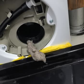 Paspas Makinede Tüy Döktü, Çamaşır Makinesi Zarar Gördü