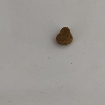 Bado Pet Food Yanlış Paketleme: Kuş Yemi Yerine Evcil Hayvan Maması