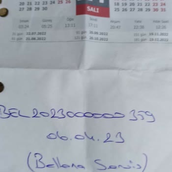 Bellona Servis Hizmeti Bekleniyor: Çözüm Nerede?