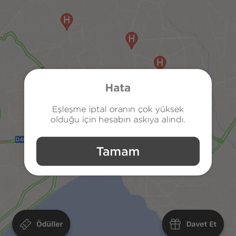 Martı Tag Sürücüsü Olarak Haksız Hesap Askıya Alınması