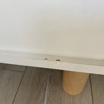 Karacan Avm | Evsenin Mobilya Düğün Paketi Teslimatında Hayal Kırıklığı: Hasarlı Ve Eksik Ürünler