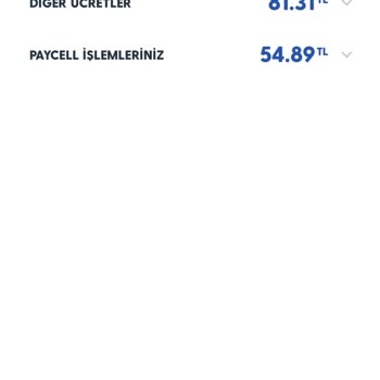 Yanlış Fatura Yansıtması Ve İade Talebi