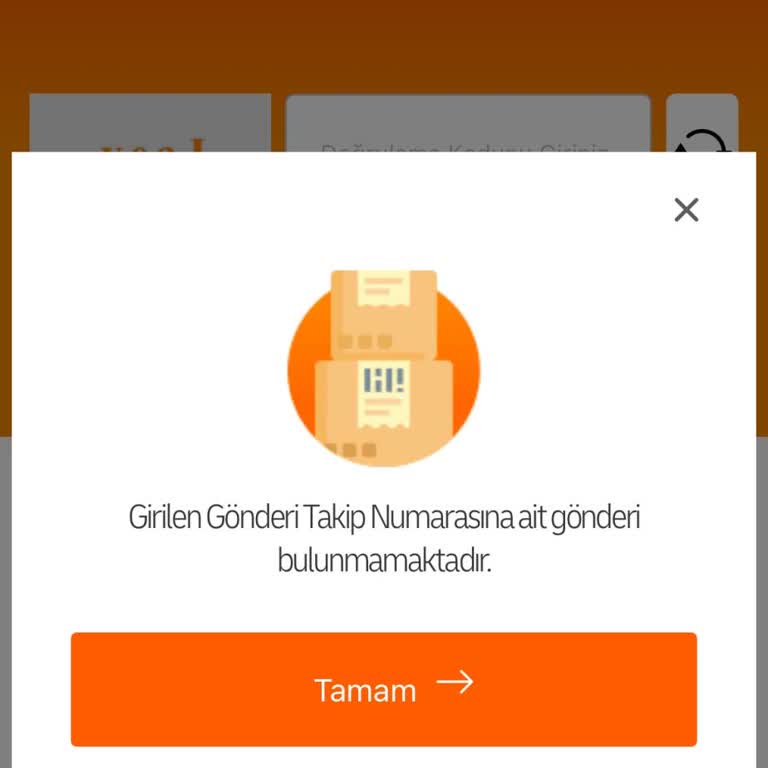 Kayıp Kargo Ve Yetersiz Müşteri Hizmeti Deneyimi