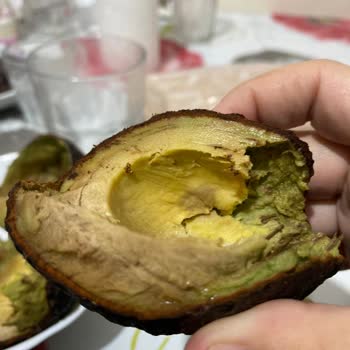 Bozuk Avokado: Son Kullanma Tarihi Geçmiş Ürün Şoku