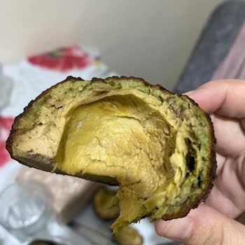 Bozuk Avokado: Son Kullanma Tarihi Geçmiş Ürün Şoku