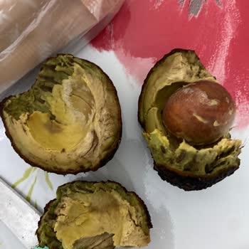 Bozuk Avokado: Son Kullanma Tarihi Geçmiş Ürün Şoku