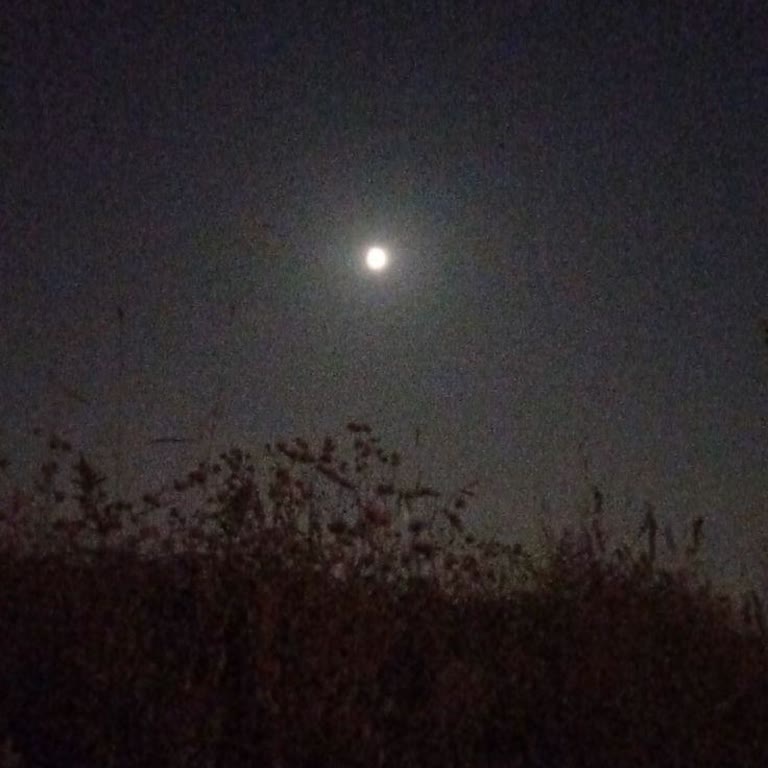 Varan Turizm Gece Yolculuğunda Güvenlik Sorunu