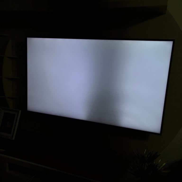Samsung Televizyon Ekran Kararması Ve Yüksek Onarım Ücreti