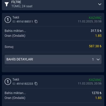 Vegabet'te 1600 TL Bakiyemi Sildiler