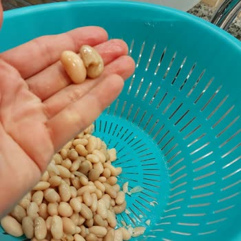 Kalitesiz Kuru Fasulye Deneyimi