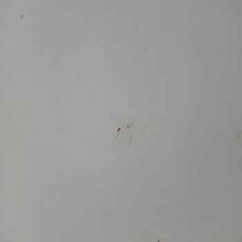 Paslanan Ve Soğutmayan Bosch Buzdolabı Sorunu