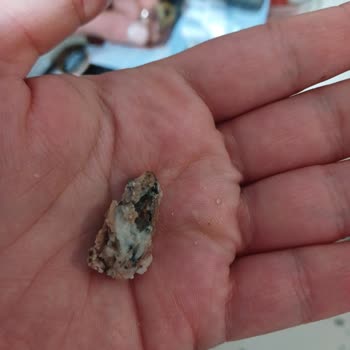 Namet Dana Dönerdeki Şüpheli Maddeler Ve Aşırı Yağ