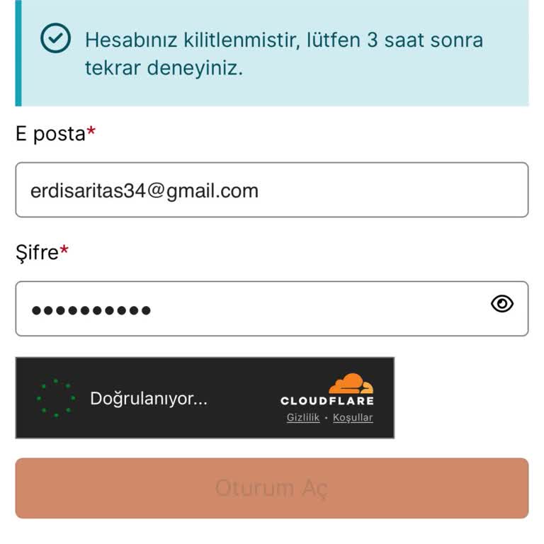 VFS Global Hesap Kilidi Ve Erişim Sorunu