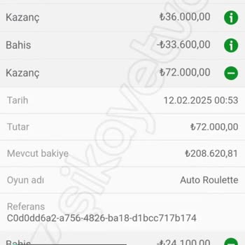 Otomatik Oyun İle Bakiye Sıfırlama!