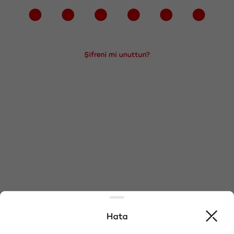 Akbank Mobil Uygulama Erişim Sorunu Ve Müşteri Hizmetlerine Ulaşamama