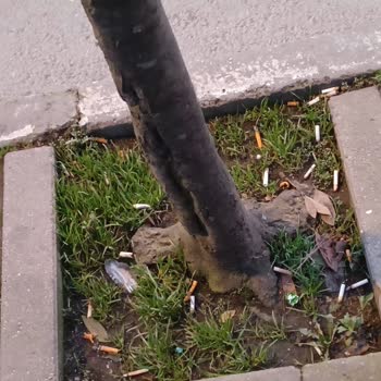 Beşiktaş Belediyesi'nin Temizlik Sorunları