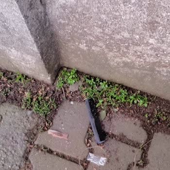 Beşiktaş Belediyesi'nin Temizlik Sorunları