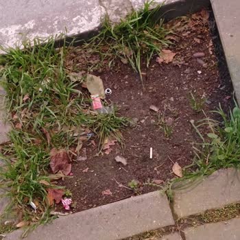 Beşiktaş Belediyesi'nin Temizlik Sorunları