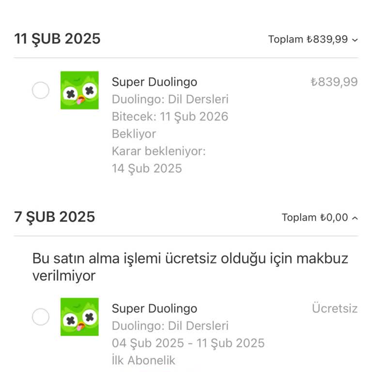 Duolingo Deneme Süresi Bitmeden Yıllık Ücret Çekti