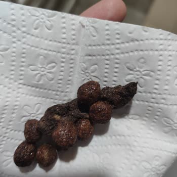 Cocopops Ürününde Şok Edici Buluntu