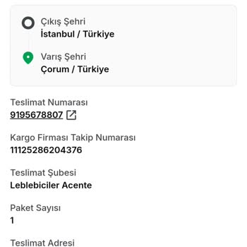 Yanıltıcı Teslimat Sorunu