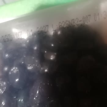 Aşırı Acı Ve Şüpheli Renkte Zeytin Sorunu