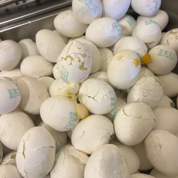 Diyanet İşleri Başkanlığı Kötü Yemekler Ve Temizlik Sorunlarıyla Hayal Kırıklığı