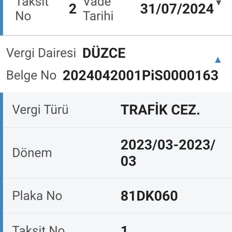 Ödenmiş Cezanın Gelir İdaresinde Görünmemesi