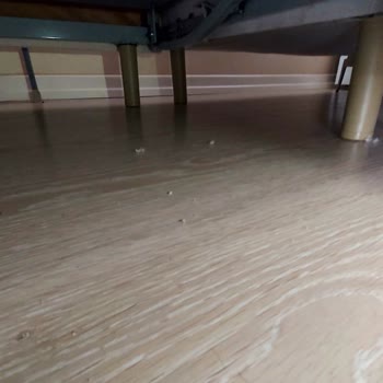 Bellona'dan Aldığımız Koltuk Takımı Hayal Kırıklığı Yarattı