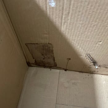 Kusurlu Kahve Makinesi Ve Yetersiz Servis Hizmeti