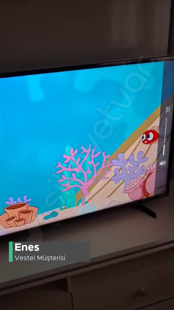 Vestel 50U TV Servis Şikayeti; Sorun Giderilemiyor! videonun kapak resmi