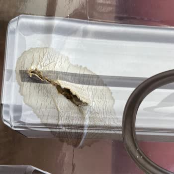 Kumtel Kahve Makinesi: Arızalı Ürün Ve Yetersiz Servis Deneyimi