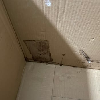 Kumtel Kahve Makinesi: Arızalı Ürün Ve Yetersiz Servis Deneyimi