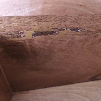 Yanıltıcı Ürün Görselleri Ve İletişim Sorunu