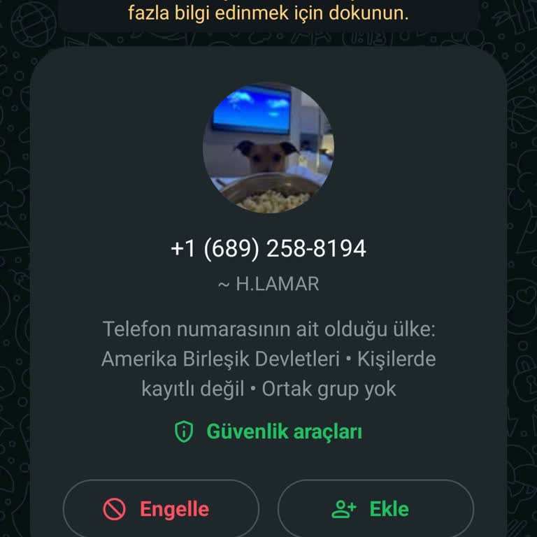 WhatsApp'ta Güvenlik Açığı: Sahte Profillerden Gelen Mesajlar