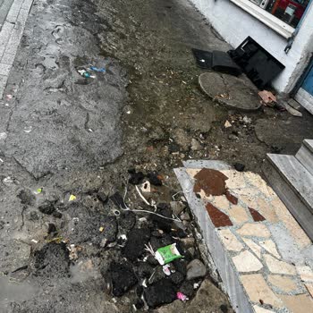 Yağmurda Sızan Su Ve Görsel Kirlilik Sorunu