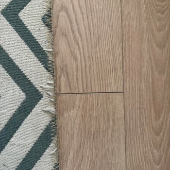 Feyz Contemporary Rugs Halı Her Yerinden İplerini Atmaya Başladı