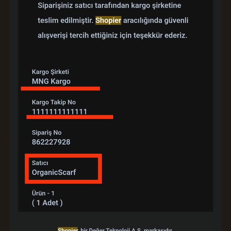 Shopier'in Art Niyetli İşletmelere Destek Vermesi