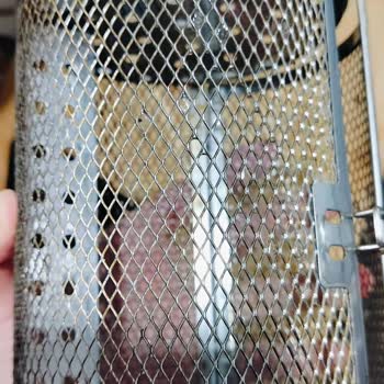 Ürünün İlk Kullanımda Renk Değiştirmesi