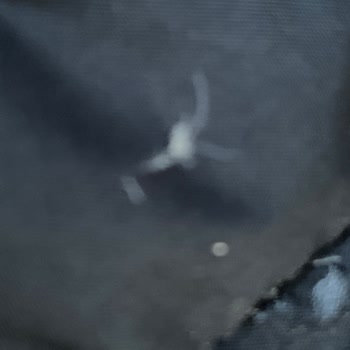 Columbia Jacket Has a Defect – Feathers Leaking, Need Replacement