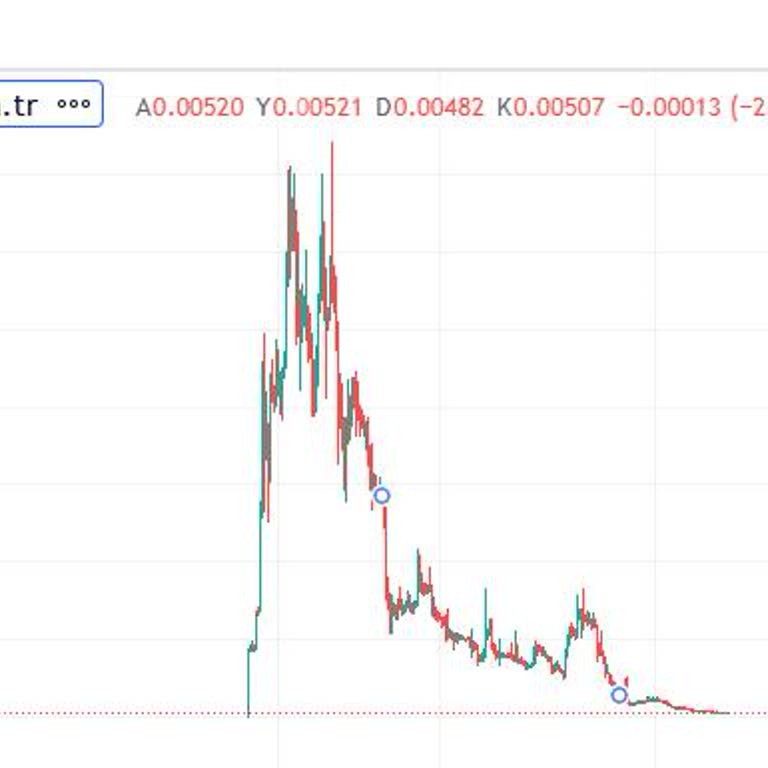 Rosa Inu Token Mağduriyeti Ve Adalet Arayışı