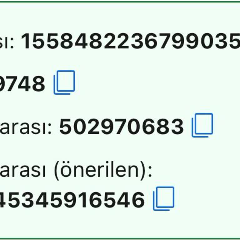 Rezervasyon Konuk Listesi Sorunu Ve Vize Başvuru Engeli