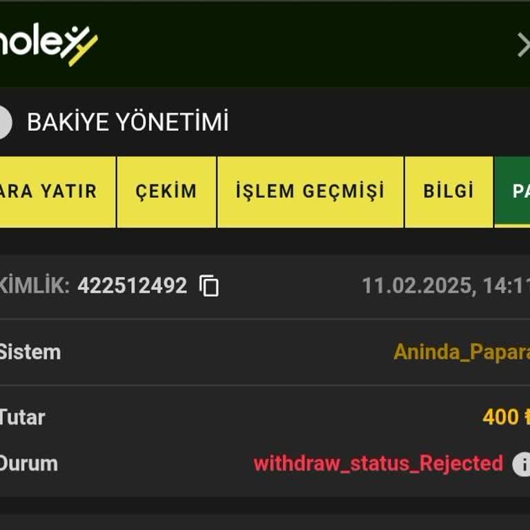 Holeyy.com Kazancımı Öde!